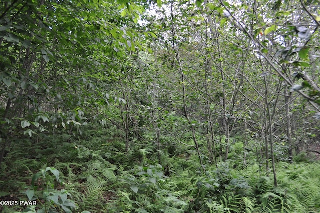 Bryn Mawr Rd, Honesdale, PA 18431 - photo 11