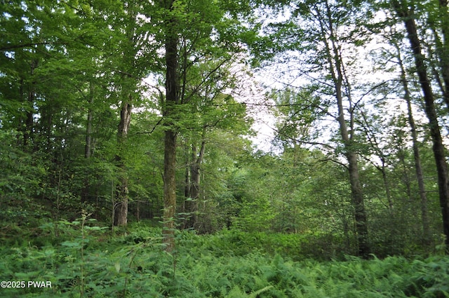Bryn Mawr Rd, Honesdale, PA 18431 - photo 6