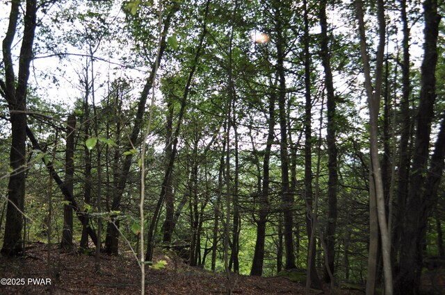 Bryn Mawr Rd, Honesdale, PA 18431 - photo 10