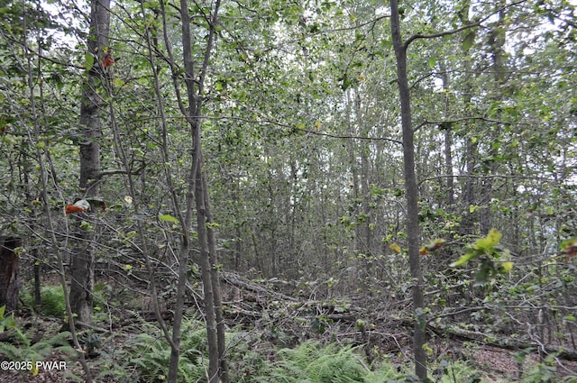 Bryn Mawr Rd, Honesdale, PA 18431 - photo 3