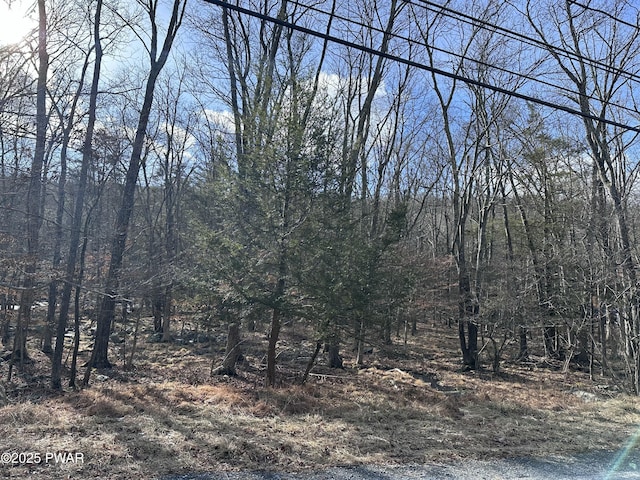 Listing photo 3 for LOT736 Decker Rd, Bushkill PA 18324