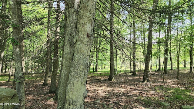 LOT91 Pocono Mountain Lake Dr, Bushkill, PA 18324 - photo 4