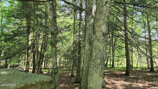 LOT91 Pocono Mountain Lake Dr, Bushkill PA, 18324 land for sale