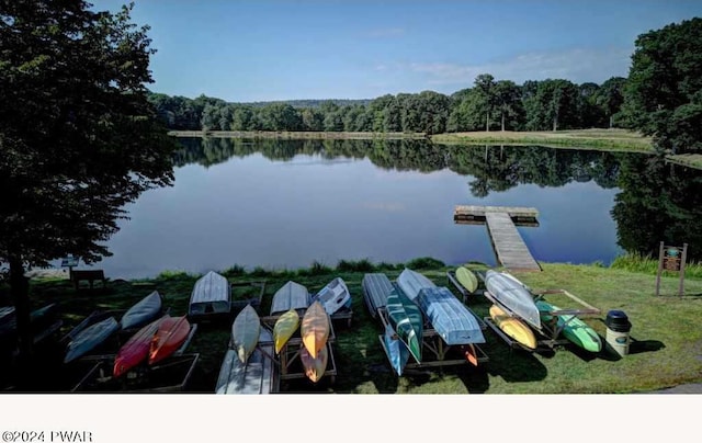 water view featuring a boat dock