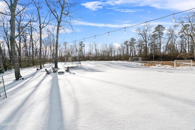 view of yard covered in snow