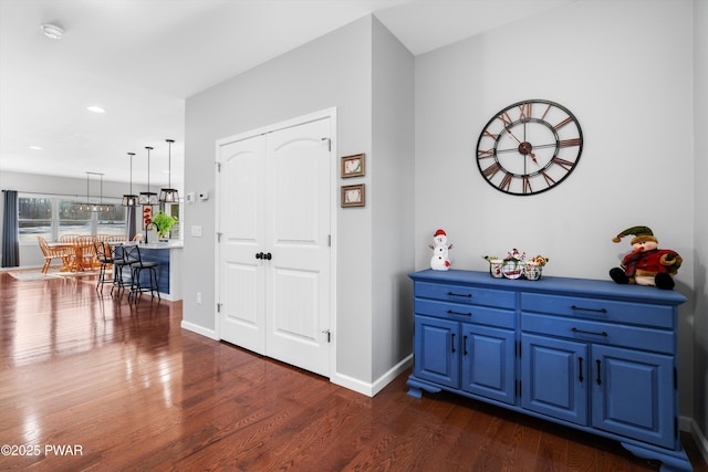 foyer entrance featuring dark wood-type flooring