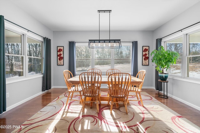 dining area featuring a wealth of natural light and dark hardwood / wood-style flooring