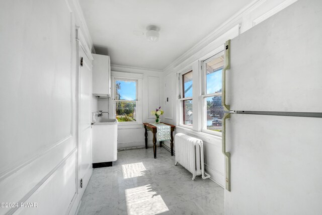 washroom featuring radiator heating unit, plenty of natural light, crown molding, and sink