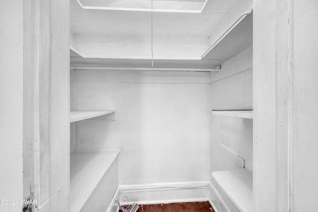 spacious closet with hardwood / wood-style flooring