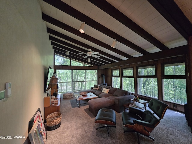 125 Broadmoor Dr, Lords Valley, PA 18428 - photo 10