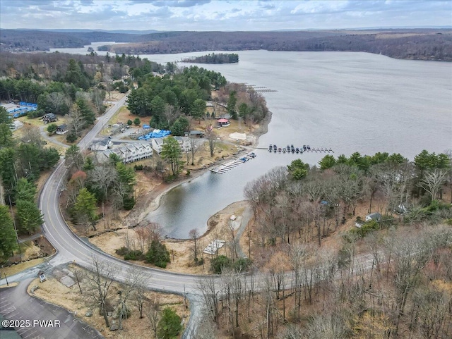 111 N Redwood Dr, Greentown, PA 18426 - aerial view with a water view and a view of trees