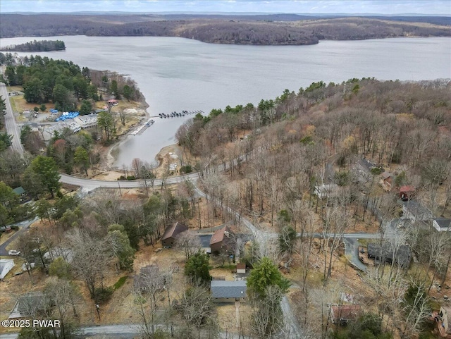 111 N Redwood Dr, Greentown, PA 18426 - aerial view with a forest view and a water view