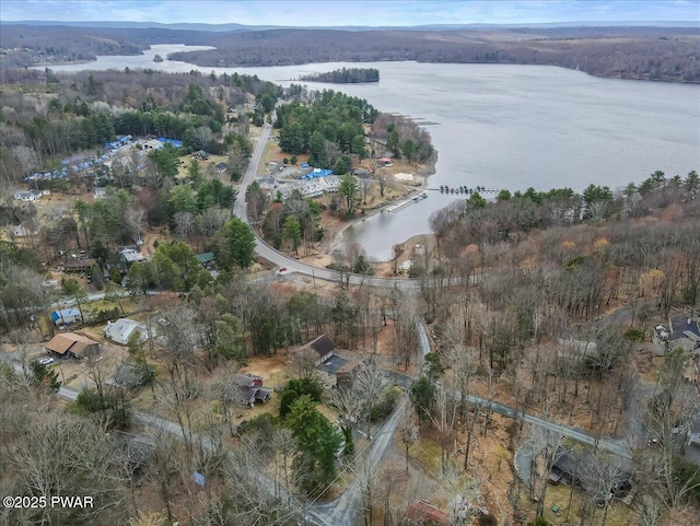 111 N Redwood Dr, Greentown, PA 18426 - bird's eye view featuring a water view and a view of trees