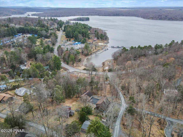 111 N Redwood Dr, Greentown, PA 18426 - bird's eye view with a water view and a forest view