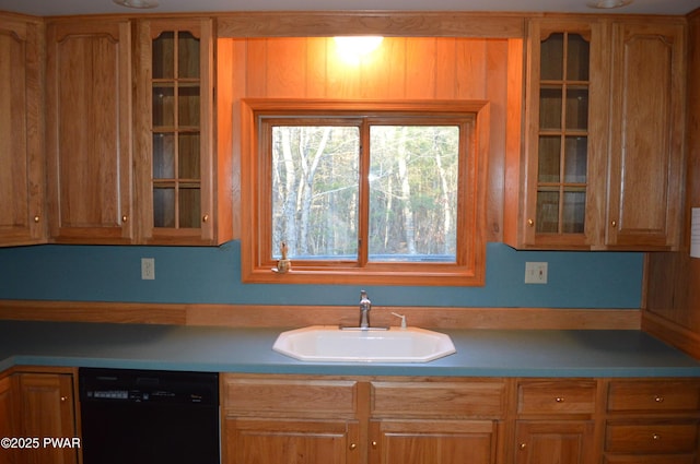 kitchen featuring a sink, glass insert cabinets, and dishwasher