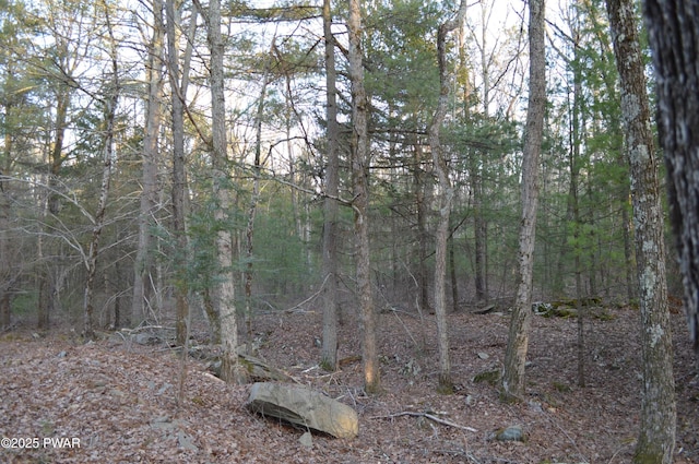 view of local wilderness featuring a wooded view