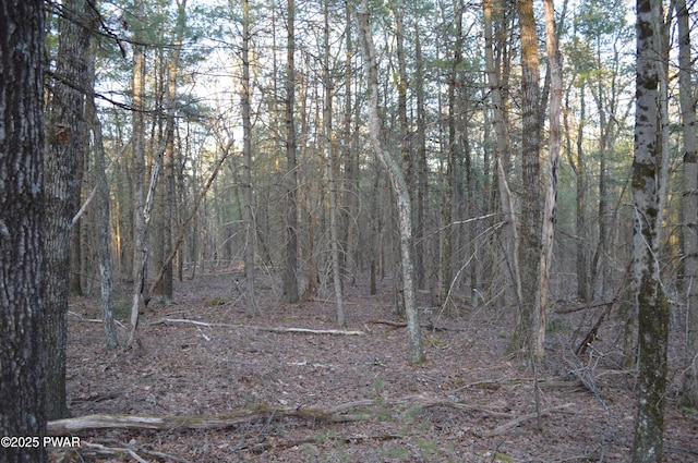 view of local wilderness with a forest view