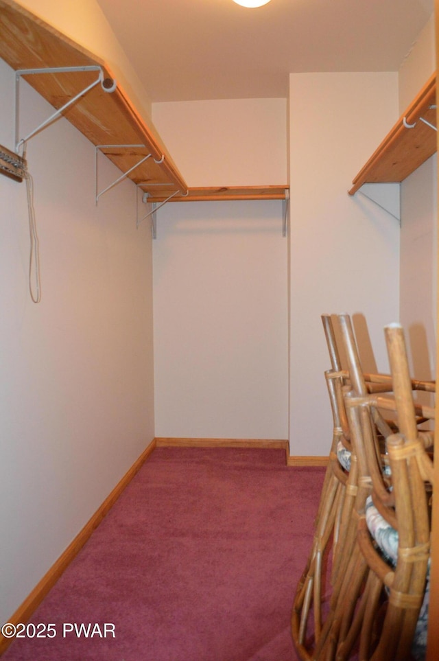 spacious closet with carpet floors