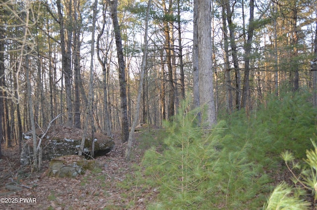 view of local wilderness featuring a view of trees