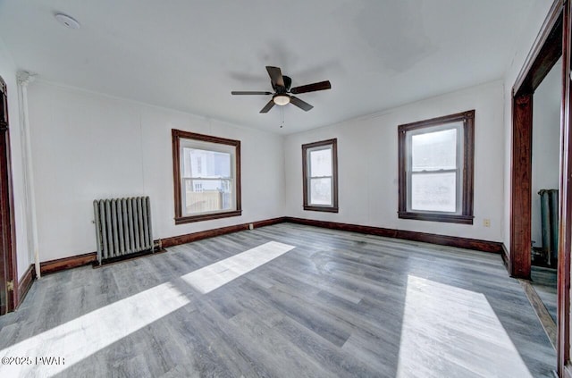 interior space with ceiling fan, radiator, and light hardwood / wood-style flooring