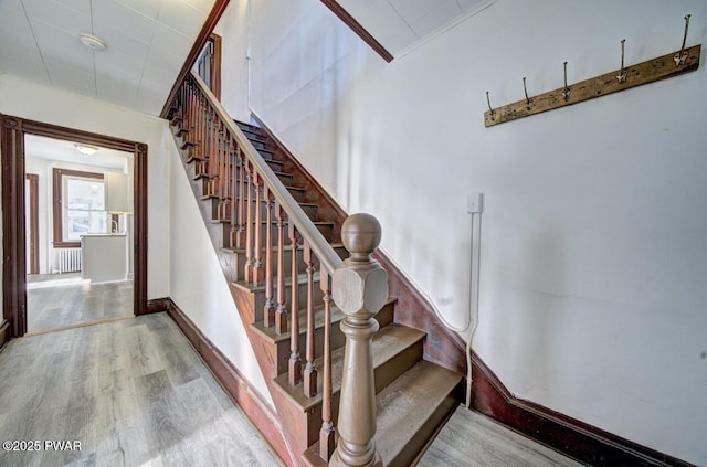 staircase featuring hardwood / wood-style floors and crown molding