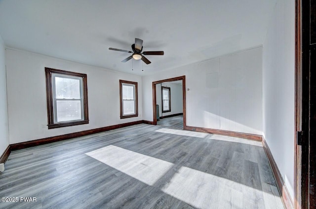 spare room with light hardwood / wood-style flooring and ceiling fan