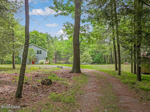 1039 Towpath Rd, Hawley, PA 18428 - view of yard with dirt driveway and a view of trees