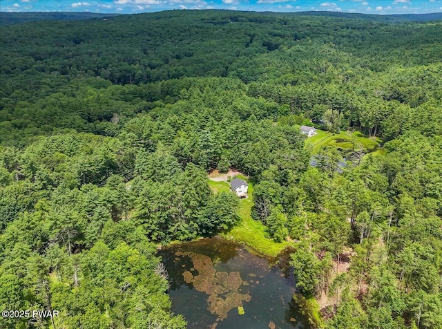 1039 Towpath Rd, Hawley, PA 18428 - aerial view of property and surrounding area with a heavily wooded area