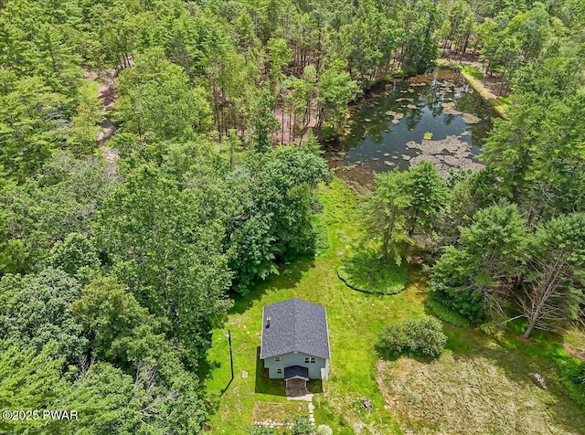 1039 Towpath Rd, Hawley, PA 18428 - view from above of property with a forest