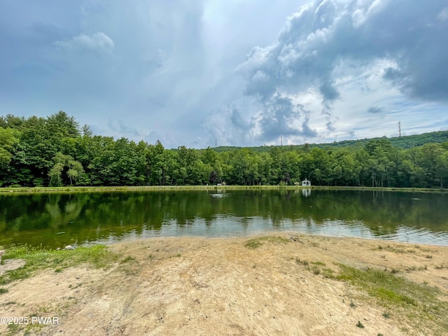 1086 Hampstead Rd, Bushkill, PA 18324 - water view featuring a forest