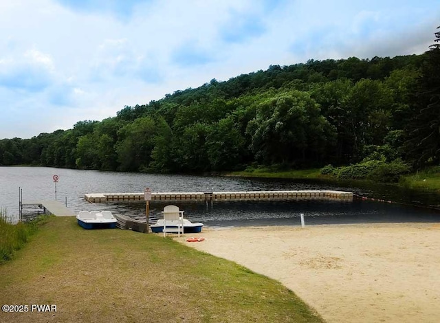 1086 Hampstead Rd, Bushkill, PA 18324 - dock area featuring a view of trees and a water view