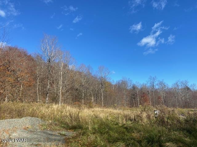 Rotten Rd, Equinunk PA, 18417 land for sale