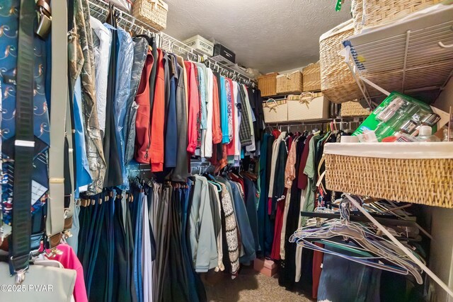 119 Canoebrook Dr, Hawley, PA 18428 - view of walk in closet