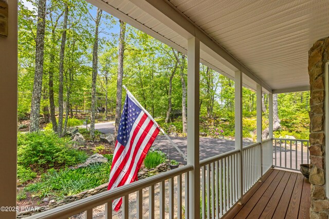 119 Canoebrook Dr, Hawley, PA 18428 - view of porch