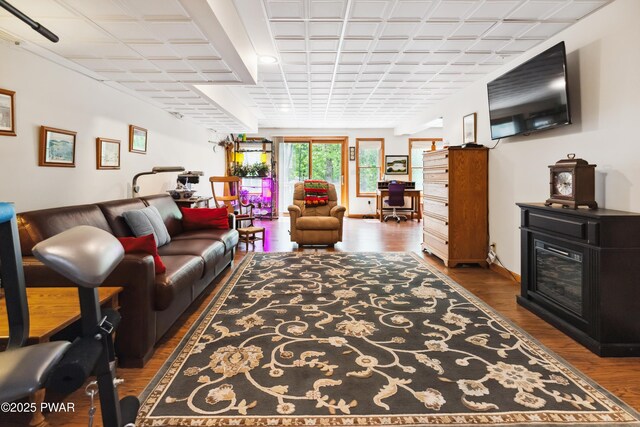 119 Canoebrook Dr, Hawley, PA 18428 - living area featuring wood finished floors, baseboards, and a glass covered fireplace