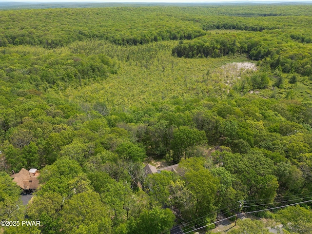 119 Canoebrook Dr, Hawley, PA 18428 - aerial view of a forest