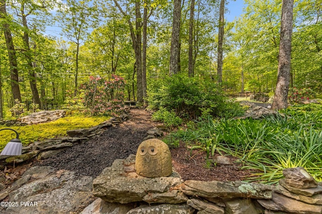 119 Canoebrook Dr, Hawley, PA 18428 - view of yard