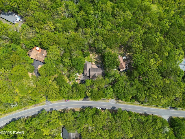 119 Canoebrook Dr, Hawley, PA 18428 - view of property location with a heavily wooded area