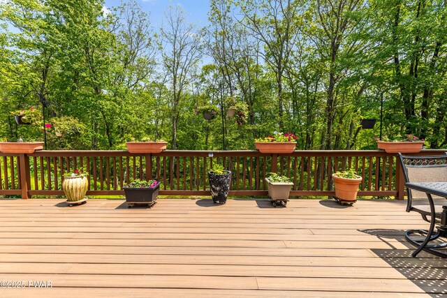 119 Canoebrook Dr, Hawley, PA 18428 - view of deck