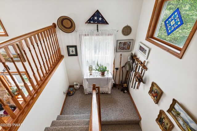 119 Canoebrook Dr, Hawley, PA 18428 - stairway featuring carpet flooring