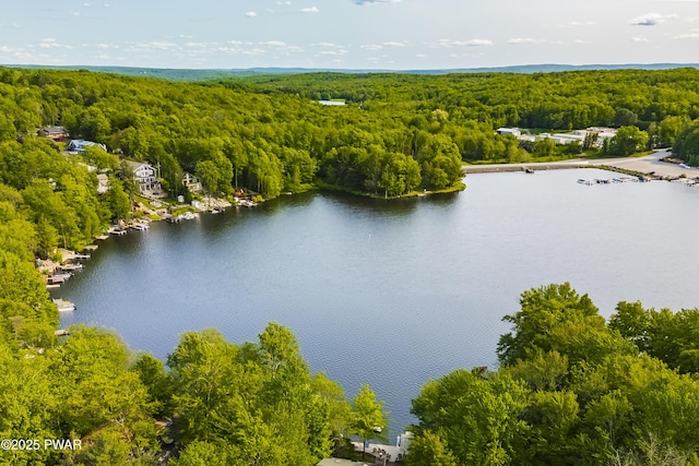 1749 Rockpoint Ct, Lake Ariel, PA 18436 - bird's eye view of a heavily wooded area and a large body of water