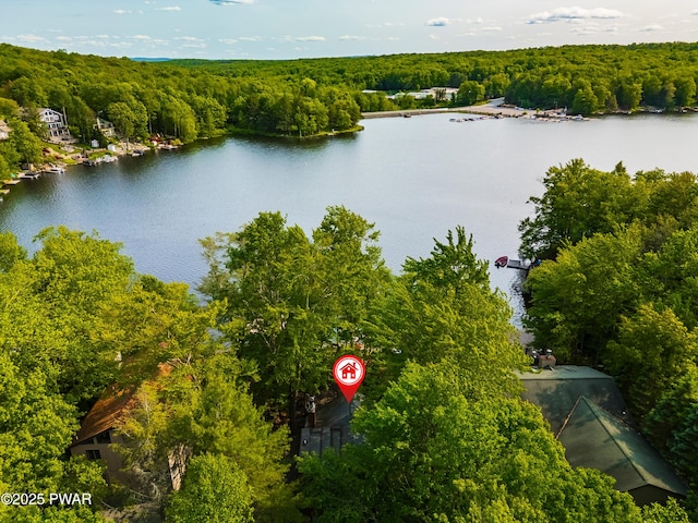 1749 Rockpoint Ct, Lake Ariel, PA 18436 - aerial view of a heavily wooded area and a nearby body of water