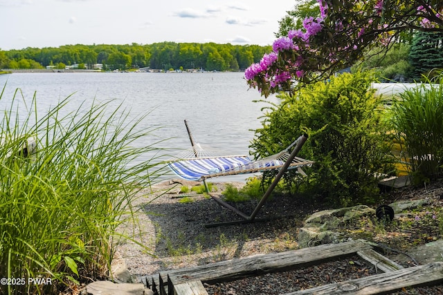 1749 Rockpoint Ct, Lake Ariel, PA 18436 - water view featuring a forest