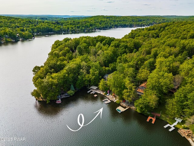 1749 Rockpoint Ct, Lake Ariel, PA 18436 - aerial view of a forest and a nearby body of water
