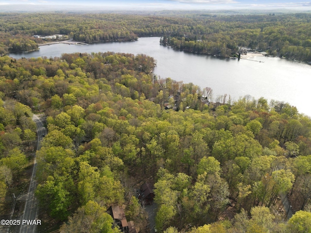 birds eye view of property with a water view and a wooded view