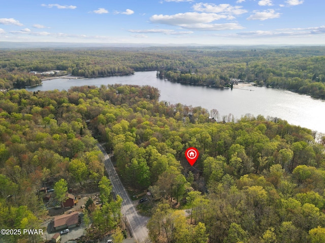 drone / aerial view with a water view and a wooded view