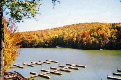 28 Bruin Rd, Lake Ariel, PA 18436 - photo 29
