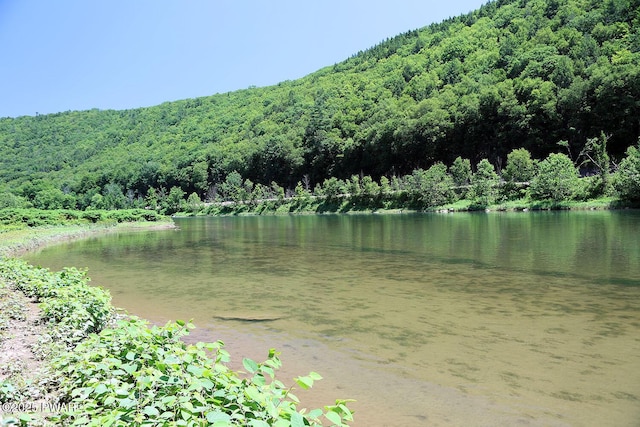 0 Hancock Hwy, Equinunk, PA 18417