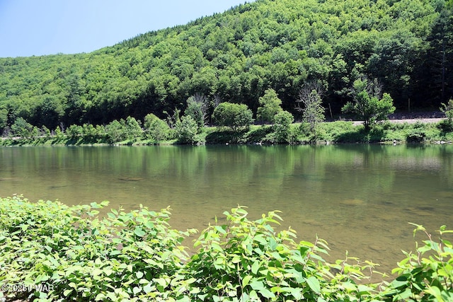 0 Hancock Hwy, Equinunk, PA 18417