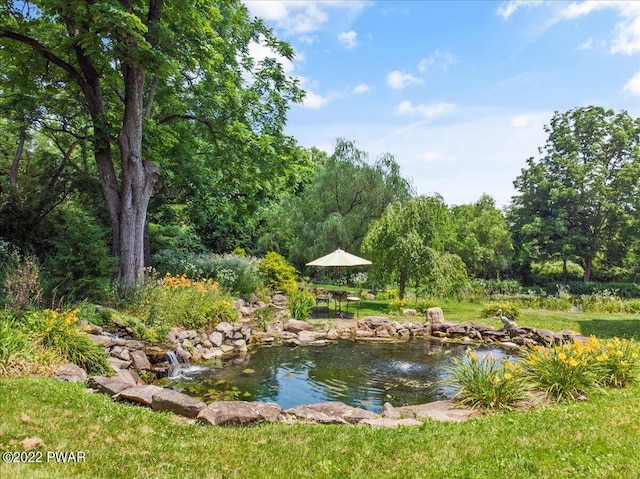 1118 Belvidere Corner Rd, Upper Mount Bethel, PA 18343 - view of home's community